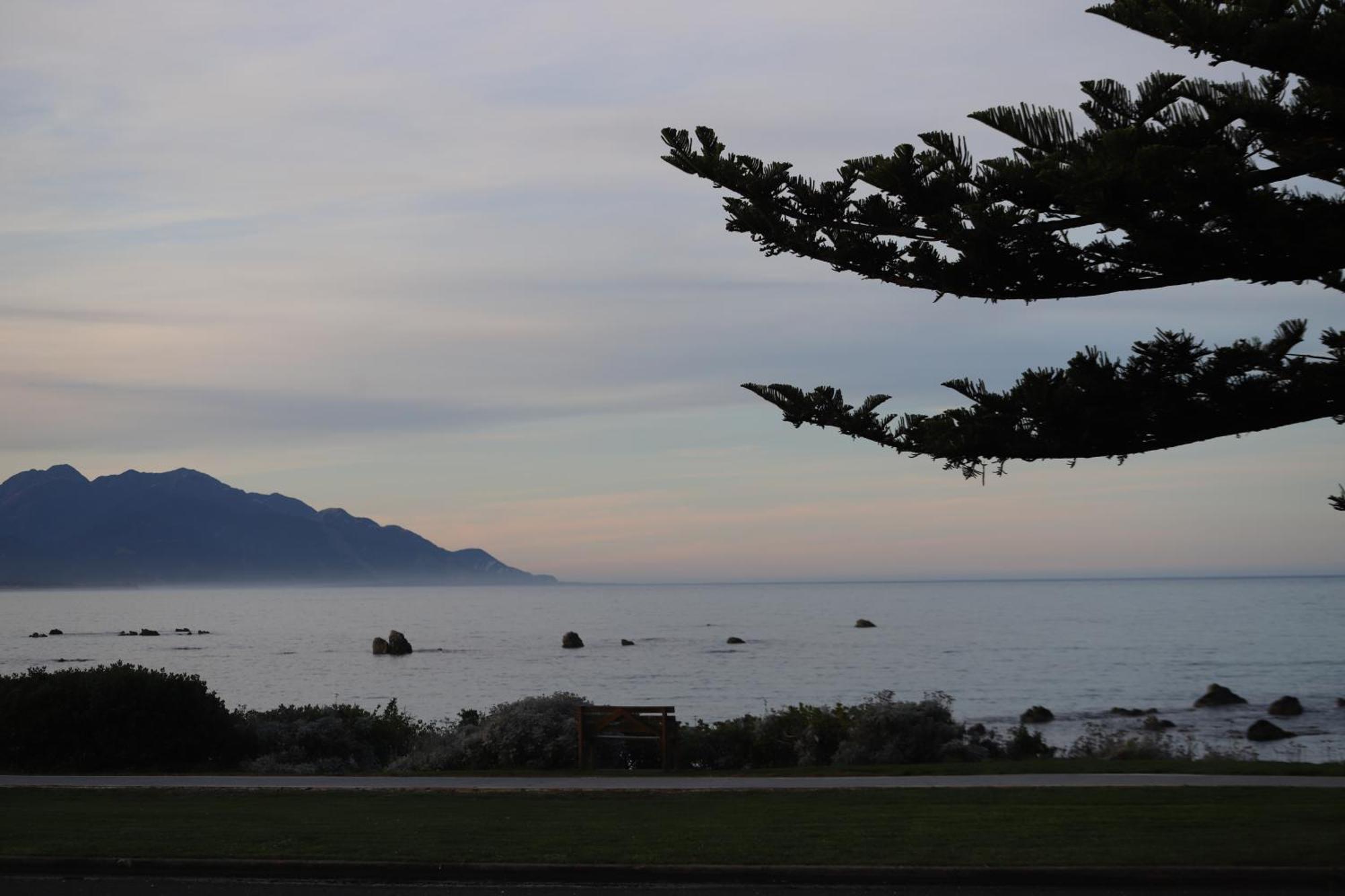 Sierra Beachfront Motel Kaikoura Exteriör bild